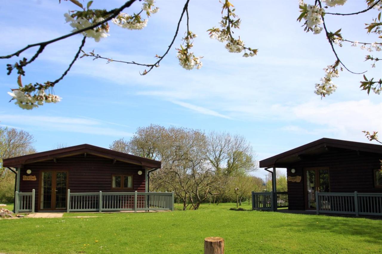 Wall Eden Farm - Luxury Log Cabins And Glamping Highbridge Ngoại thất bức ảnh