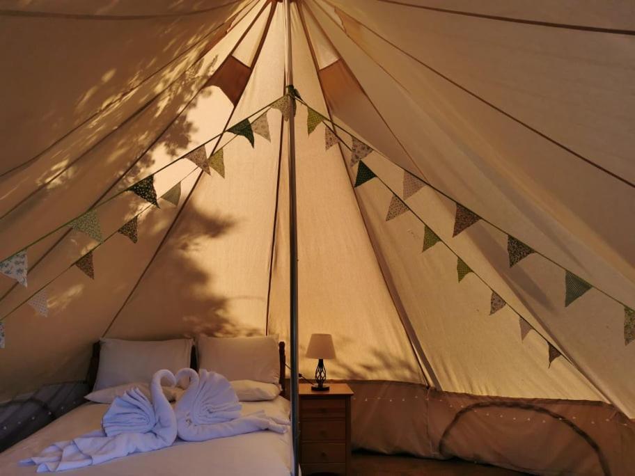 Wall Eden Farm - Luxury Log Cabins And Glamping Highbridge Ngoại thất bức ảnh