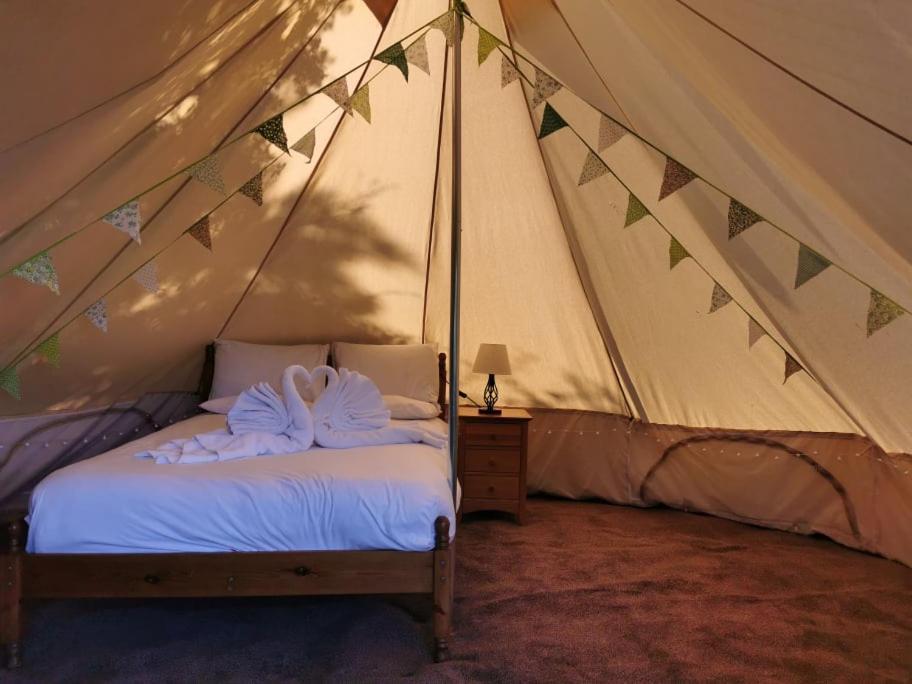 Wall Eden Farm - Luxury Log Cabins And Glamping Highbridge Ngoại thất bức ảnh