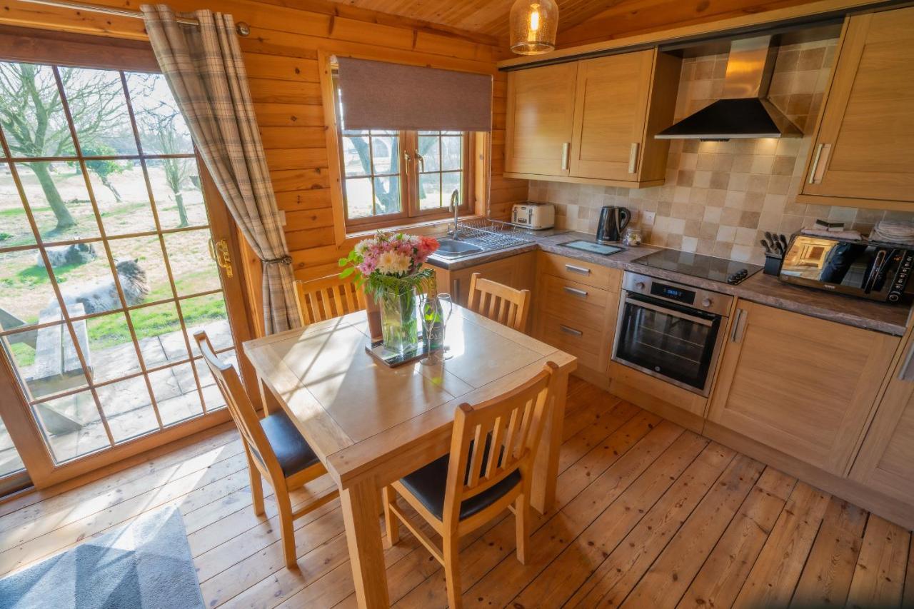 Wall Eden Farm - Luxury Log Cabins And Glamping Highbridge Ngoại thất bức ảnh